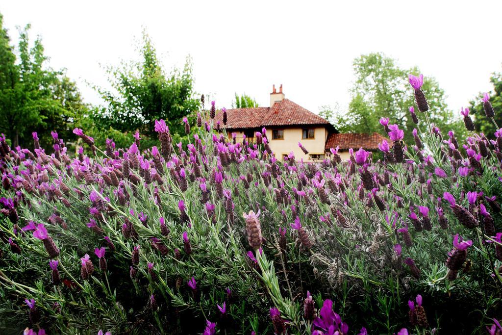 Rancho Caymus Inn Rutherford Εξωτερικό φωτογραφία